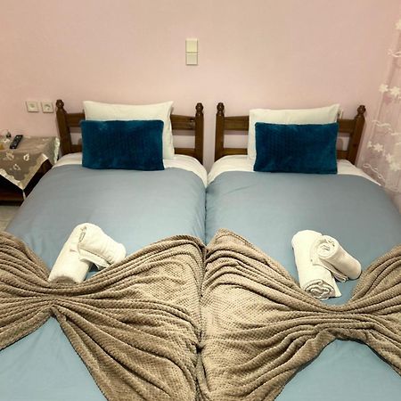Karpouzis Guesthouse ヴィコス エクステリア 写真