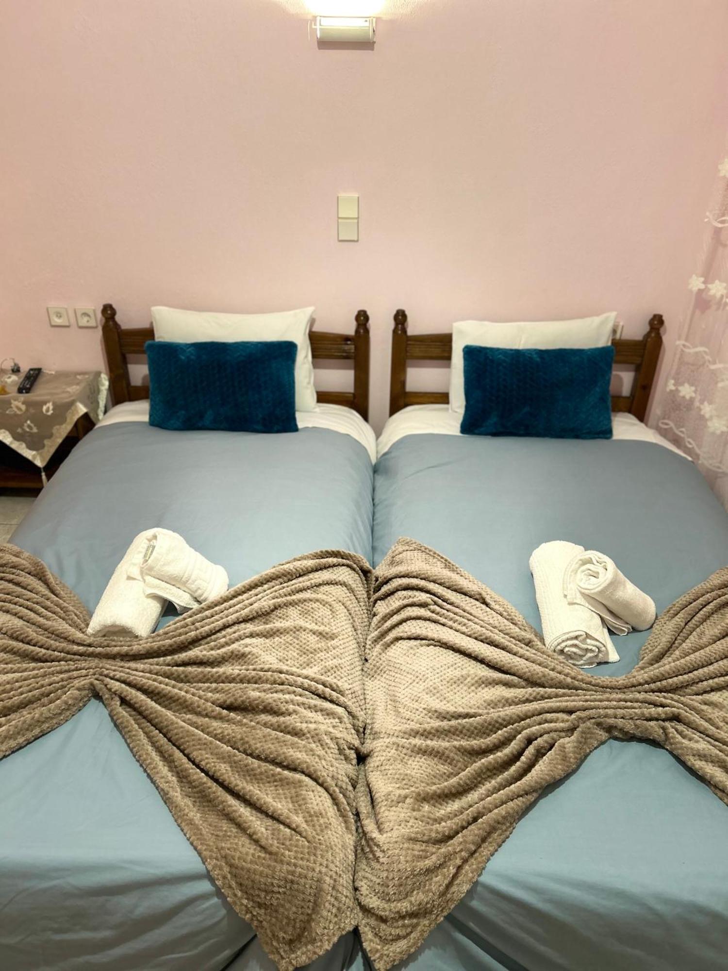 Karpouzis Guesthouse ヴィコス エクステリア 写真